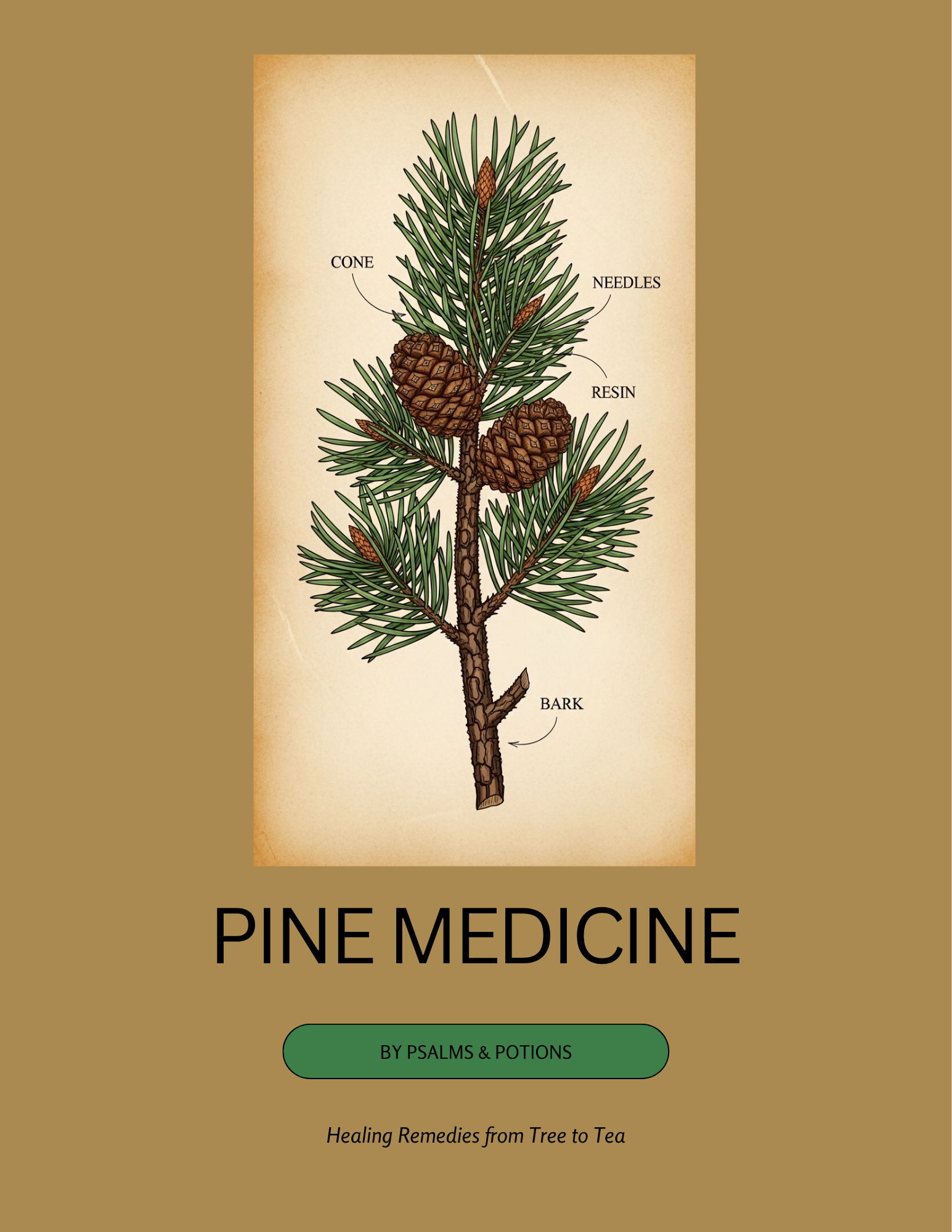 Pine Medicine